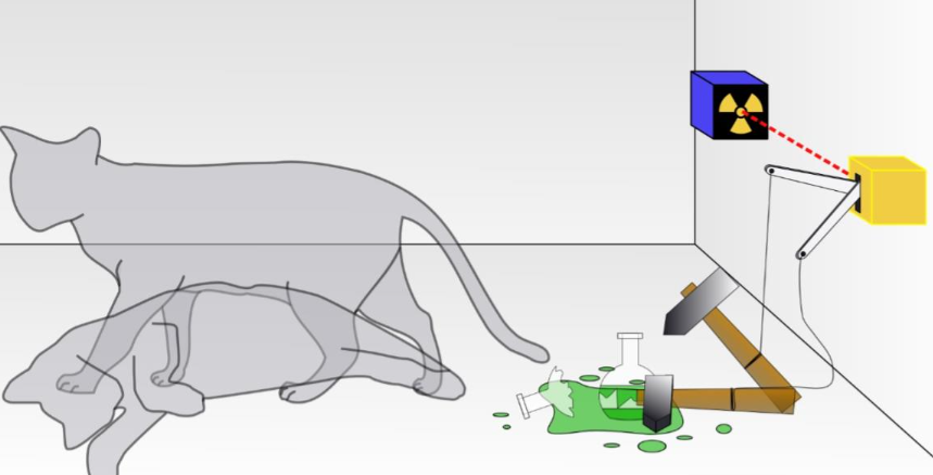„Kot Schrödingera”- na czym polega to zjawisko?