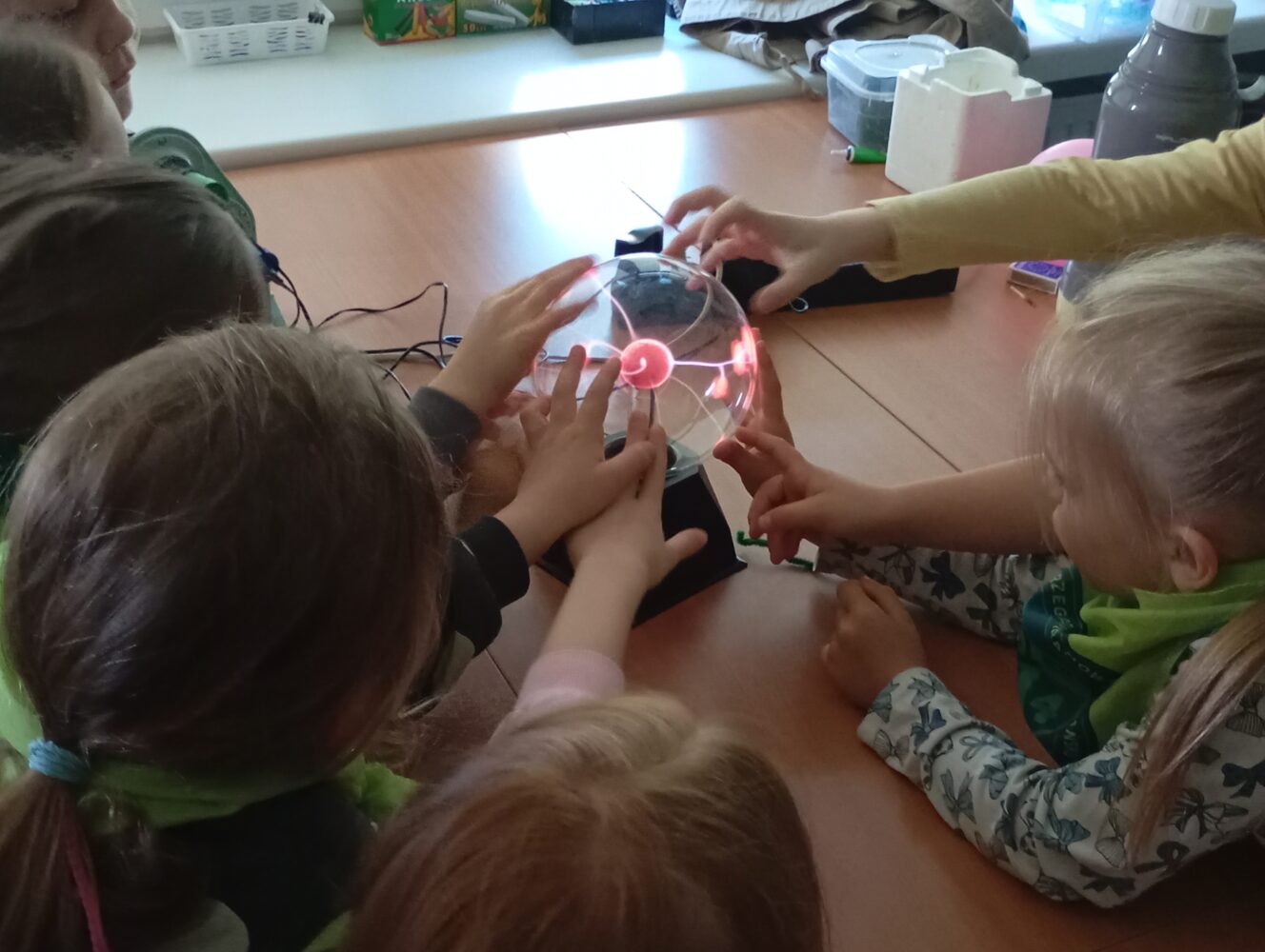 Ogródek Naukowy na WMFiI | 2025